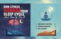 How Stress Disrupts